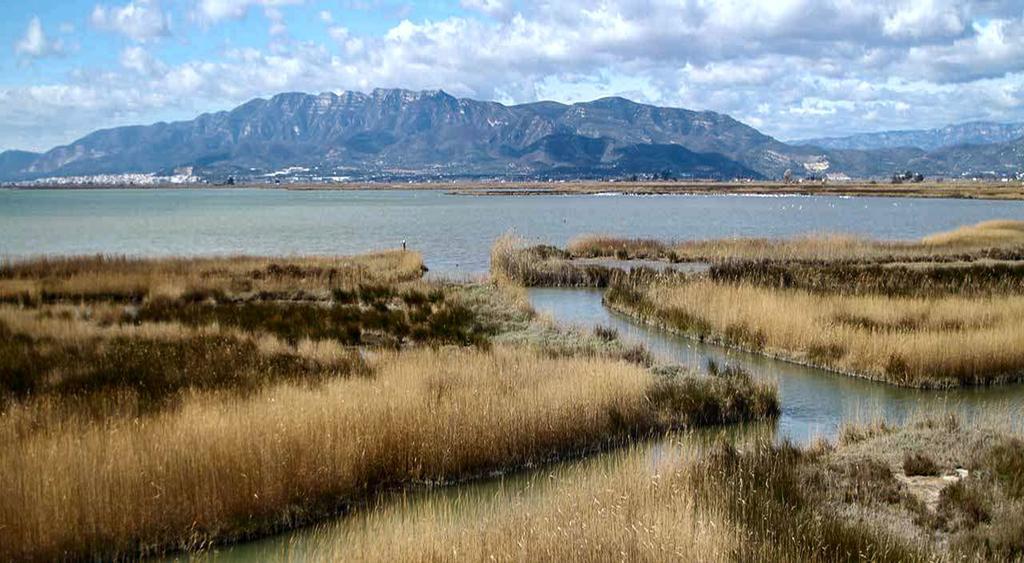 Mi Apartamento En El Delta Del Ebro Deltebre Bagian luar foto
