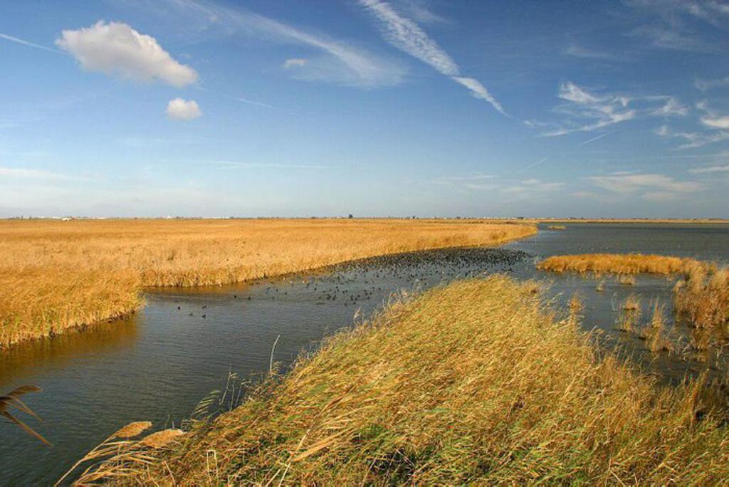 Mi Apartamento En El Delta Del Ebro Deltebre Bagian luar foto