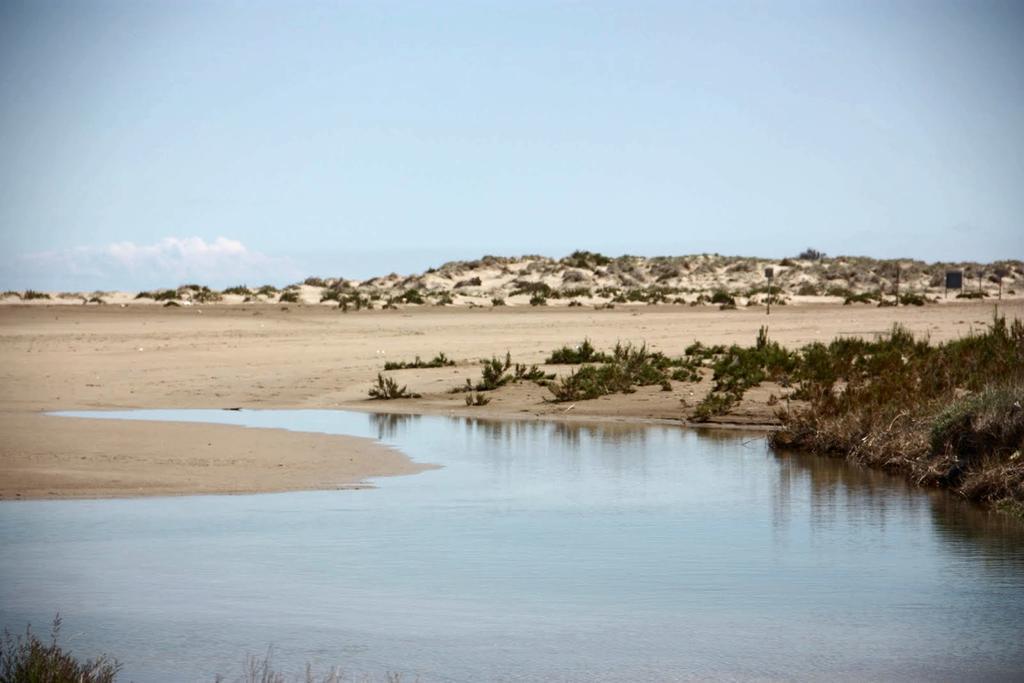 Mi Apartamento En El Delta Del Ebro Deltebre Bagian luar foto