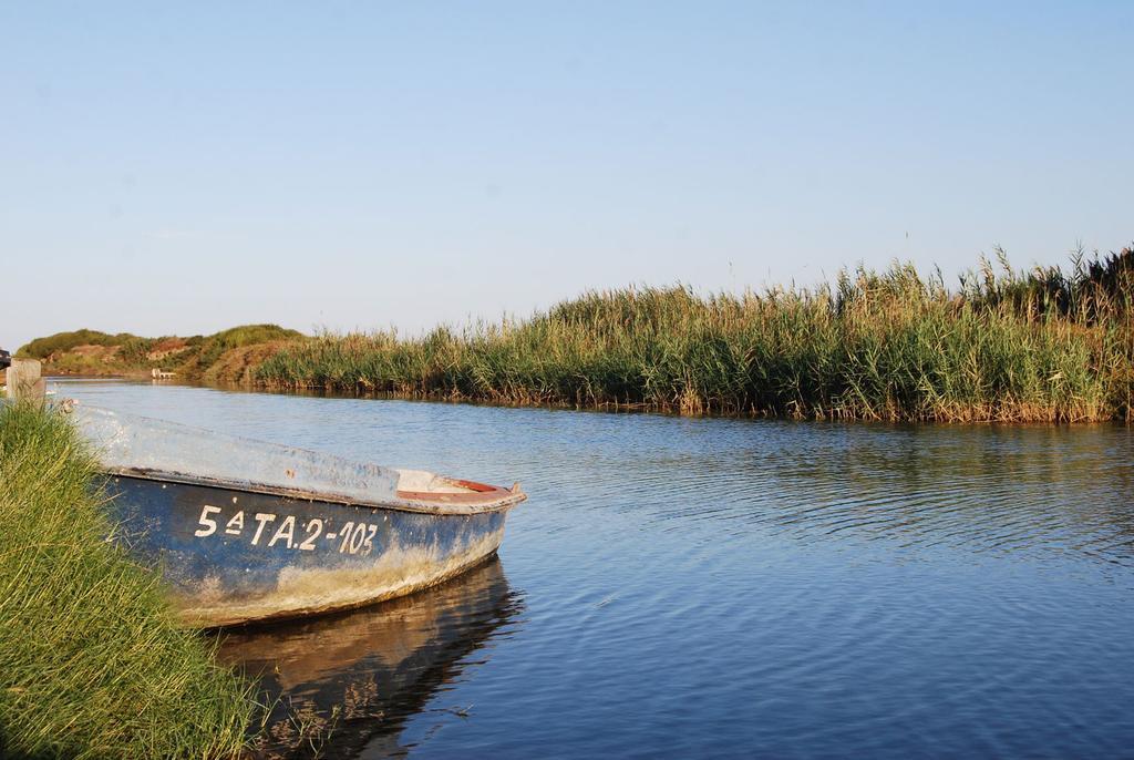 Mi Apartamento En El Delta Del Ebro Deltebre Bagian luar foto