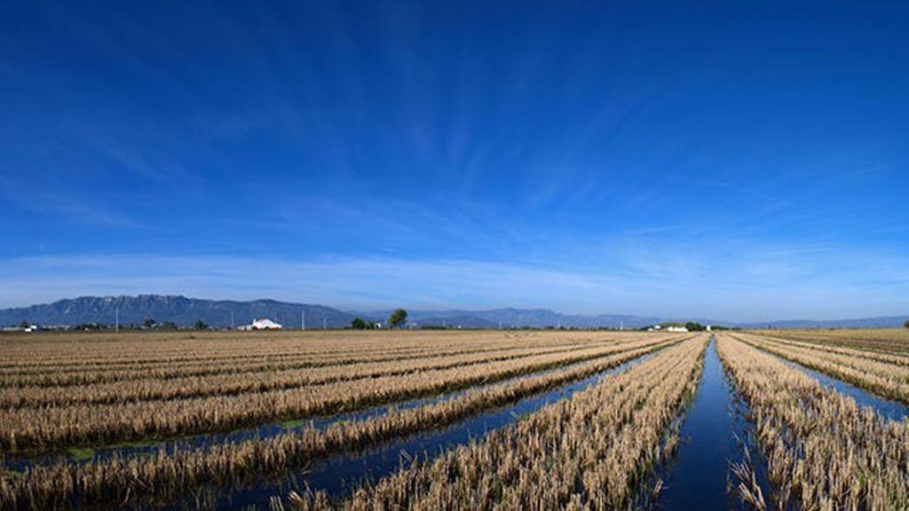 Mi Apartamento En El Delta Del Ebro Deltebre Bagian luar foto