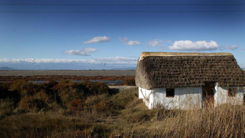 Mi Apartamento En El Delta Del Ebro Deltebre Bagian luar foto