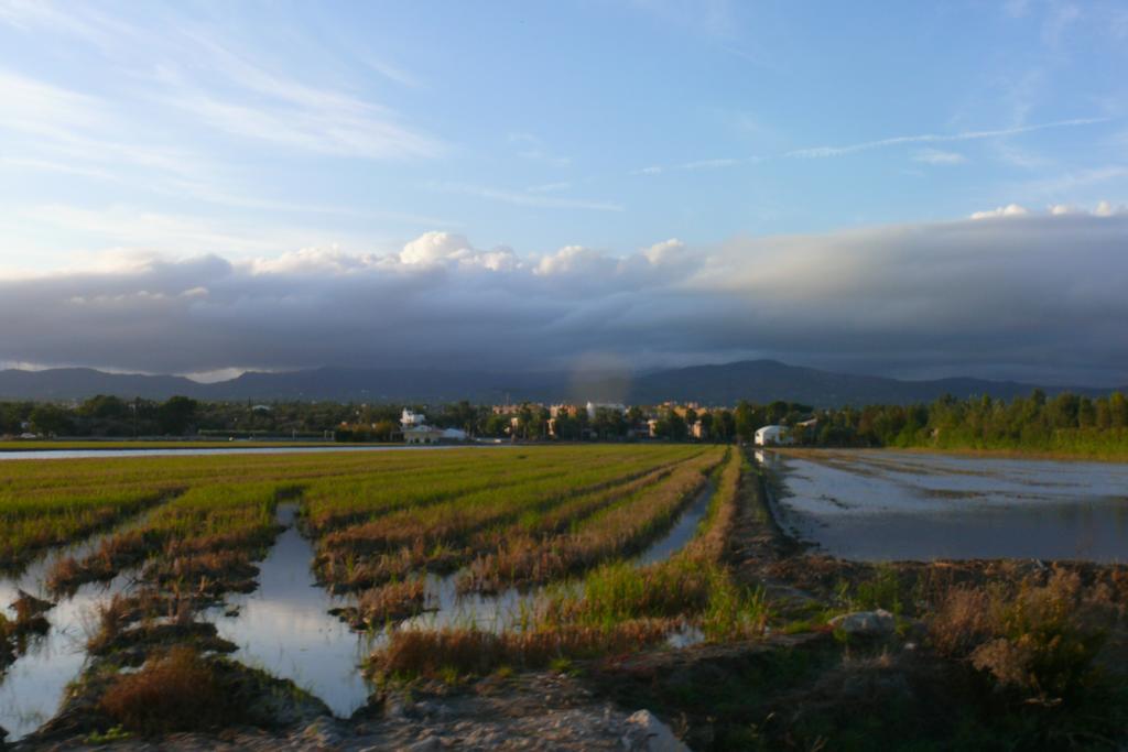 Mi Apartamento En El Delta Del Ebro Deltebre Bagian luar foto